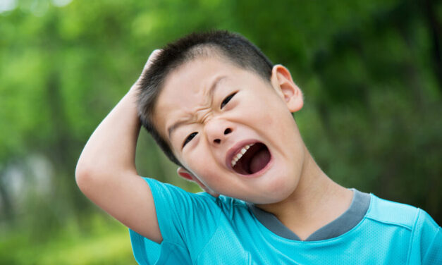 Cursuri comportamentale