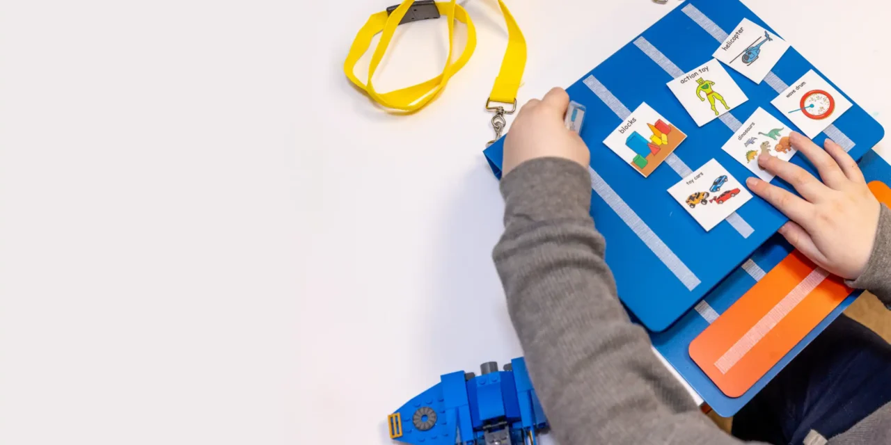 PECS Nivel 1 –  Arad 22-23 Mai 2026